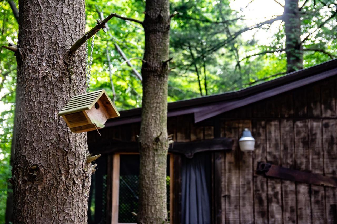 Avenwood Cabins Logan Eksteriør billede